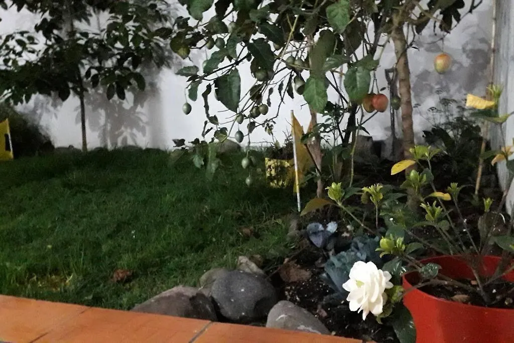דירות קואנקה Departamento Monay 1